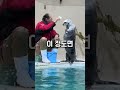 선을 넘어버린 해달