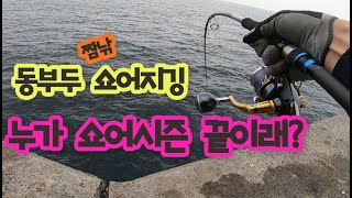 #동부두 #쇼어지깅 아직 시즌오프는 이르다...