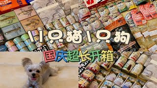 11只猫1只狗国庆超长开箱大放送！