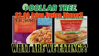 Dollar Tree Asian Fusion Meal Combo! - WHAT ARE WE EATING?? - The Wolfe Pit