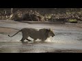 Mashatu Game Reserve - The Four Unique Camps
