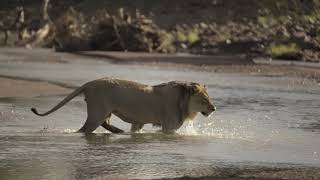 Mashatu Game Reserve - The Four Unique Camps