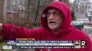 Strong winds toppled trees in Howard County