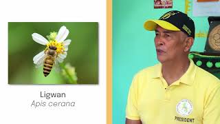 Basic Beekeeping (AgriTalk 2021)