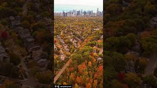 Toronto in autumn 🤩 #canada #autumn