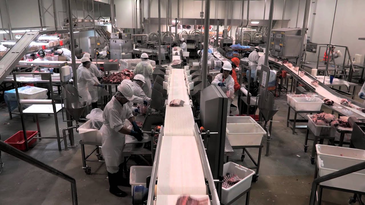 Scott Automated Lamb Processing At Jbs Bordertown Youtube