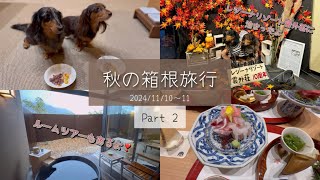 #14-2 レジーナリゾート箱根雲外荘と犬連れ箱根周辺モデルコース旅しおり有り