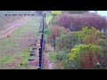 baboons on camera and on fence