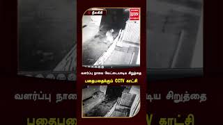 #shorts |வளர்ப்பு நாயை வேட்டையாடிய சிறுத்தை பதைபதைக்கும் CCTV காட்சி