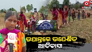 ଉପାନ୍ତରେ ଉପେକ୍ଷିତ ଆଦିବାସୀ