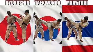 Which Martial Arts Roundhouse Kick is Best?