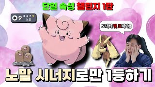 포토체스) 단일 속성 챌린지 1탄 - 노말 시너지로 1등하기