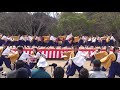 大阪大学お祭りダンスサークル”祭楽人” @ 浜松がんこ祭 浜松城公園 2016 03 13t11 54