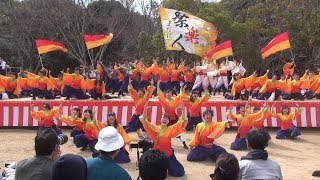 大阪大学お祭りダンスサークル”祭楽人” @ 浜松がんこ祭 (浜松城公園) 2016-03-13T11:54