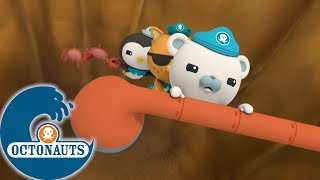 #Rester à la maison Octonauts - Le crabe Terminator | Dessins animés pour enfants