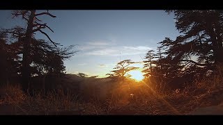 Bivouac en montagnes de Batna ? مخيم بري في أعالي جبال الأوراس