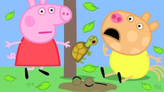 Peppa Pig and the Climbing Tortoise! | Peppa Pig Official Family Kids Cartoon