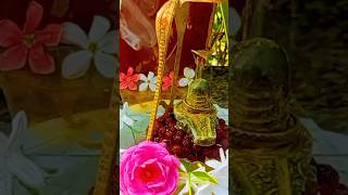 🌺☘️Rudra Shiva Stotram Mantra☘️🌺#mahadev #shiv #shortvideo