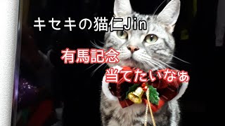 キセキの猫仁の競馬予想が凄い的中率