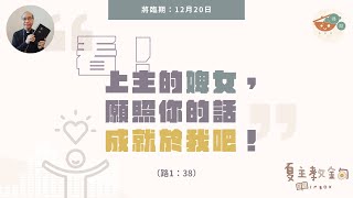 夏主教金句INBOX：將臨期12月20日【看！上主的婢女，願照你的話成就於我吧！】（路1：38）