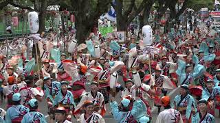 國士舞双 2019よさこい全国大会 追手筋南会場 [4K] 08.12