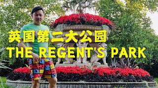 CY Yeoh vlog ＃2 The Regent's Park摄政公园 英国市中心第二大的公园 面积410英畝