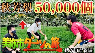 #15【山口県　美祢市　ダーツの旅】　ゲストハウスを運営されている方の裏側に密着！白い大きな犬に癒されます！　秋芳町青景編