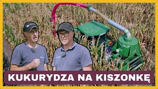 Zbiór kukurydzy na kiszonkę ze Staphyt. Zbieramy doświadczenia poletkowe! | e-pole