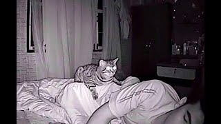 Dad Sets Up Security Camera, Regrets It When He Sees Why Cat Stares At Him
