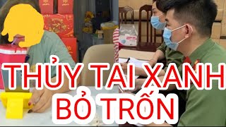 🔴 THỦY TAI XANH BỎ TRỐN