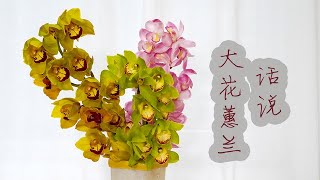 【大叔说花】鲜切花选购及保养33鲜切花大花蕙兰挑选养护和小知识