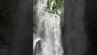 Into the waterfall | Naikhongchhari, Bandarban | Borenno