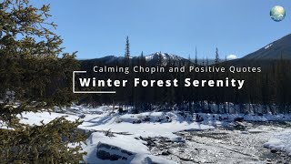 1 Hour of Winter Forest Serenity: Calming Chopin and Positive Quotes - 4K HDR