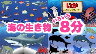 【子供が喜ぶ水族館】海の生き物アニメ詰め合わせ！！お魚さんたちが大集合！さかなの名前ずかん★サメ・たこ・くじら・いるか・まぐろ★未就学児向け教育｜Fish気分はスキューバダイビング♪