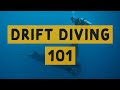 Beginners Guide To Drift Diving Maldives Style With Prodivers Maldives