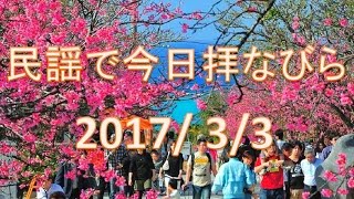 【沖縄民謡】民謡で今日拝なびら　2017年3月3日放送分 ～Okinawan music radio program