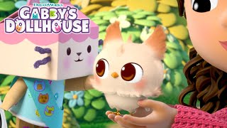 Finding the Baby Me-Owl's Mama | GABBY'S DOLLHOUSE | Netflix