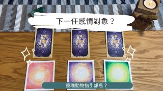 🌿艸艸占卜🔮下一任感情對象？特質/個性 | Tarot | pick  a card（無時間限制）