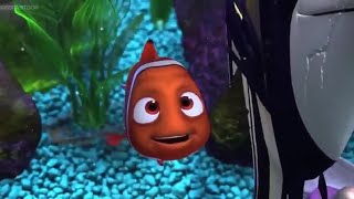 Nigel tells Nemo