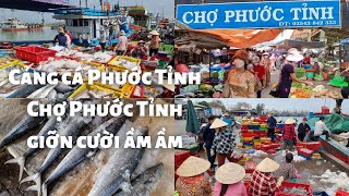 Vũng Tàu - Cảng cá Phước Tỉnh xem cảnh lên cá rất vui - Chợ Phước Tỉnh cá thu lớn ngon, giỡn ầm ầm