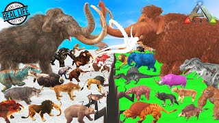 Prehistoric Mammals Epic Battle Real Life Animals vs ARK ARK SURVIVAL EVOLVED An