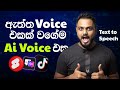 How To Do the Voice Changer on TikTok? Don't Miss Text to Speech