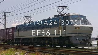 '21/8/1のA24 3075レ EF66 111