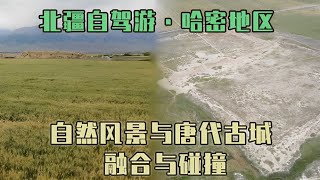 唐朝在新疆的屯垦见证，1300年的土墙保存完整，至今仍是个大粮仓【旅途琪遇记】