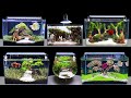 TOP 6 How To Make Mini Planted Fish Tank At Home Idea 6 DIY Aquascape Aquarium Decoration Ideas #142