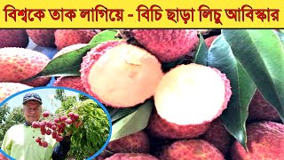 এবার বাজার কাপাচ্ছে বিচি ছাড়া লিচু - বিশ্বকে তাক লাগিয়ে বিচি ছাড়া লিচু আবিস্কার  || zero 6 minute ||