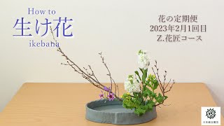 花の定期便　生け方　啓翁桜（ケイオウザクラ）　ストック　リューココリネ　菜の花