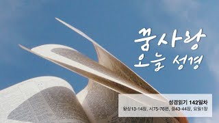 2024년 11월 19일