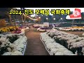 2024.진도 보배섬 국화축제