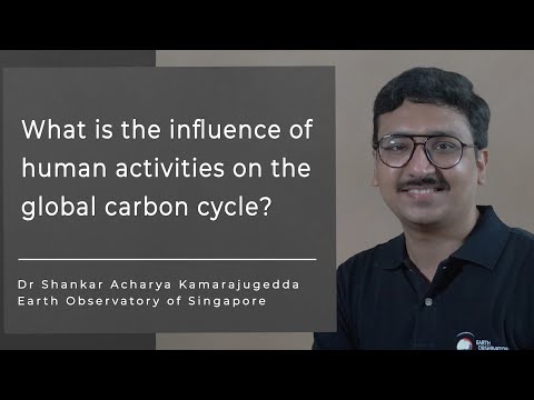 What human activities are impacting the carbon cycle?